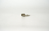 Tinned Standard 50Mm Copper Terminal Lug